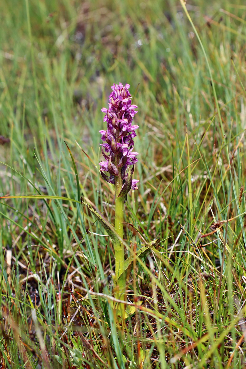 2014_08_01_00007894p_Bildgr��e �ndern