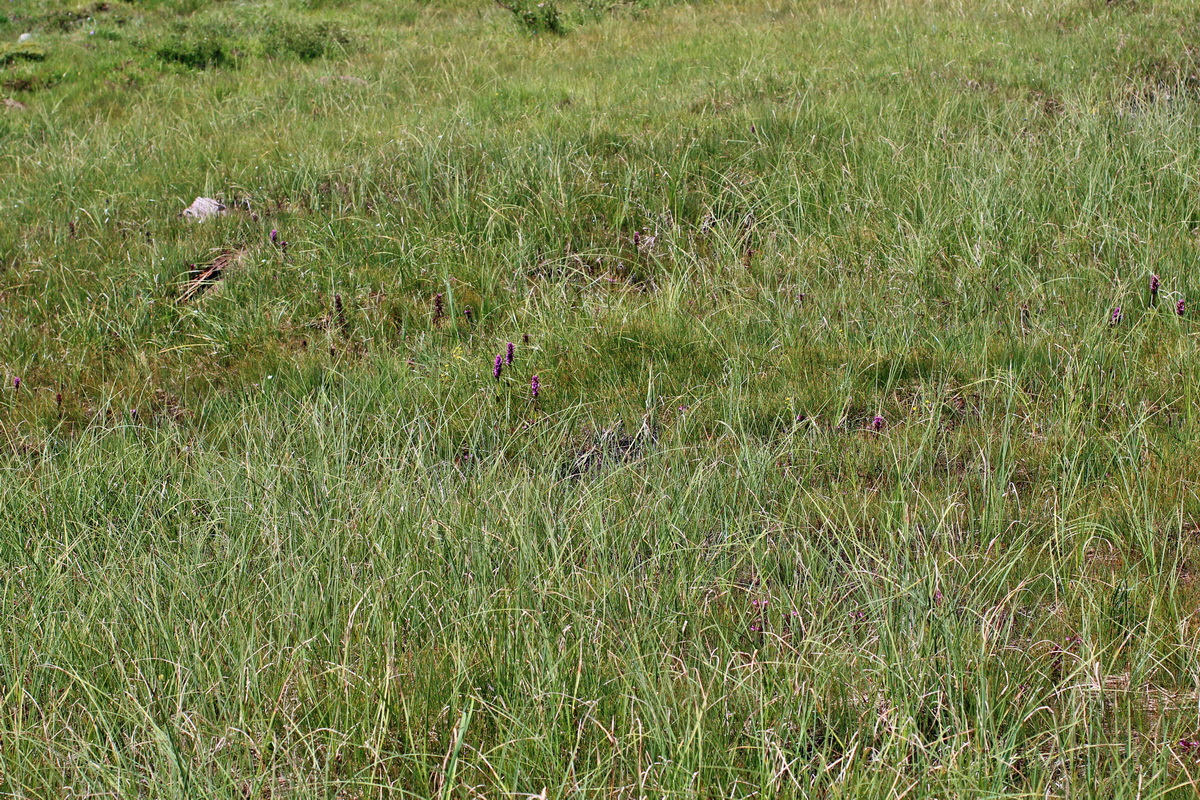 2014_08_01_00007900p_Bildgr��e �ndern