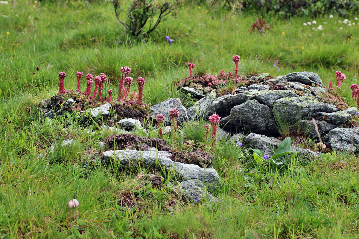 2014_08_01_00007902p_Bildgr��e �ndern