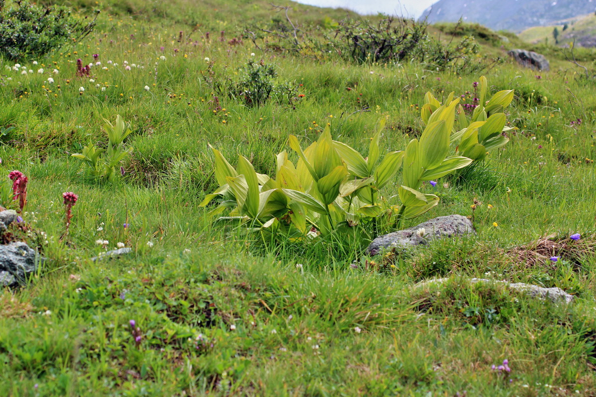 2014_08_01_00007903p_Bildgr��e �ndern