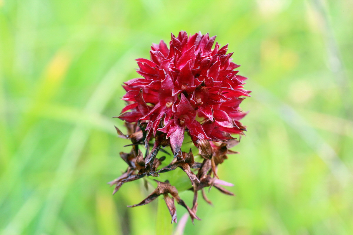 2014_08_01_00007905p_Bildgr��e �ndern