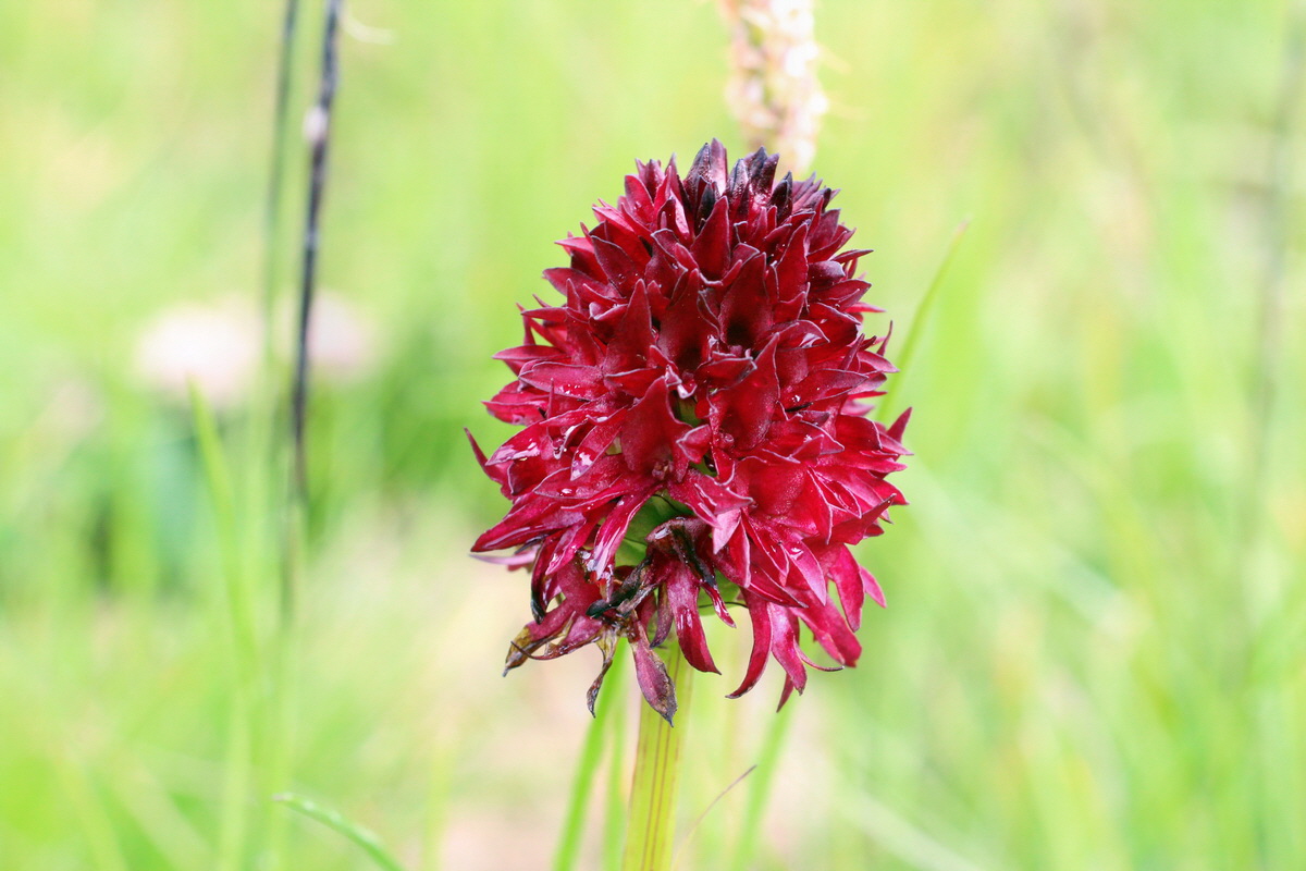 2014_08_01_00007908p_Bildgr��e �ndern