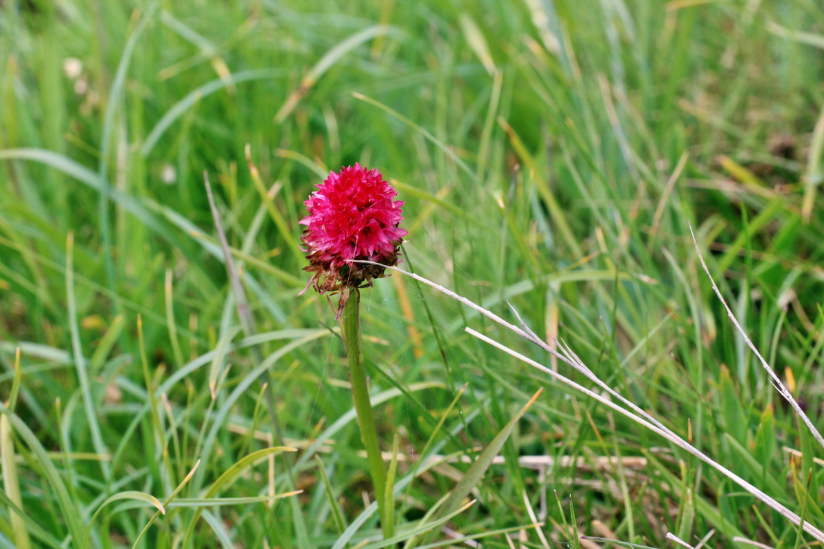 2014_08_01_00007911p_Bildgr��e �ndern