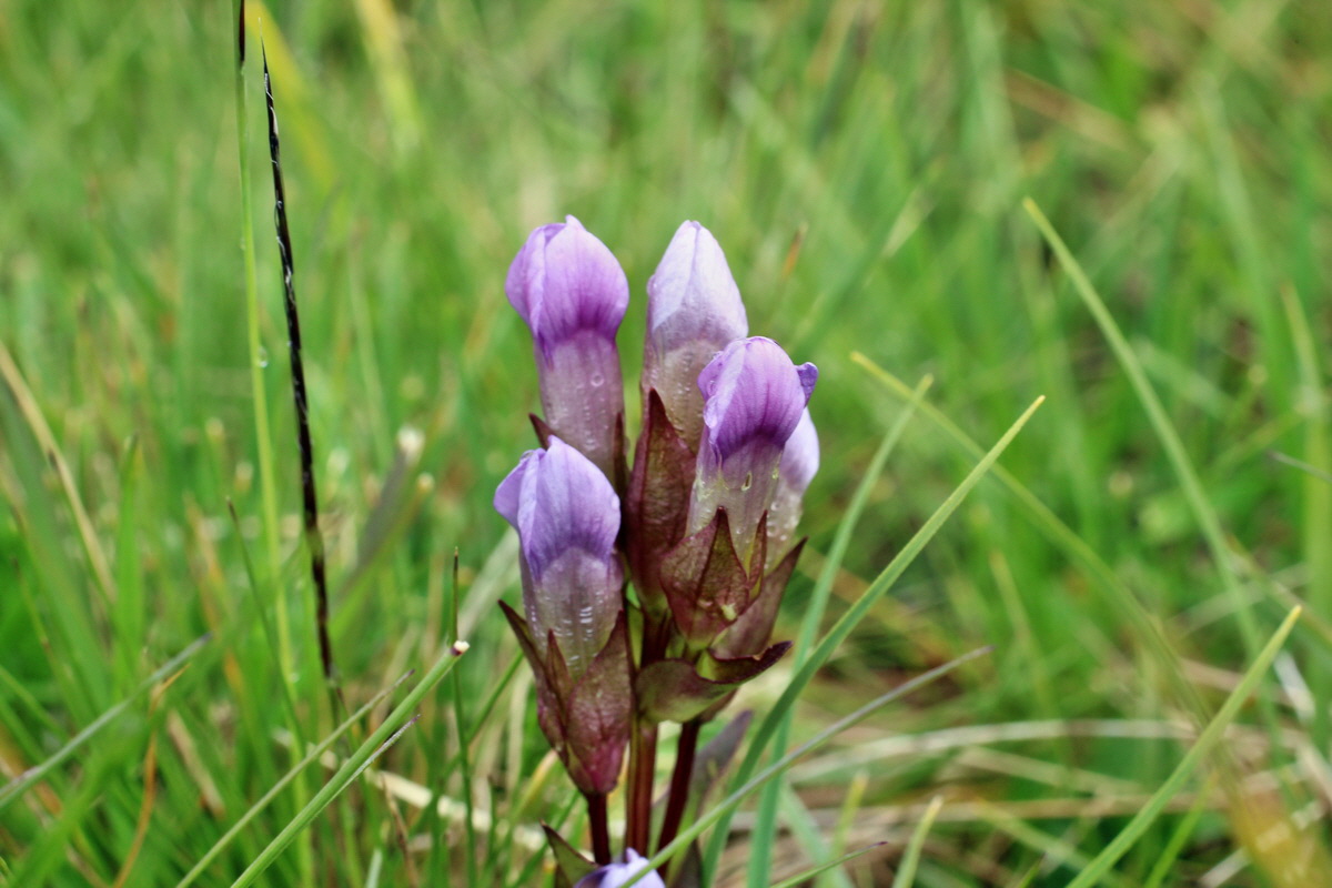 2014_08_01_00007913p_Bildgr��e �ndern