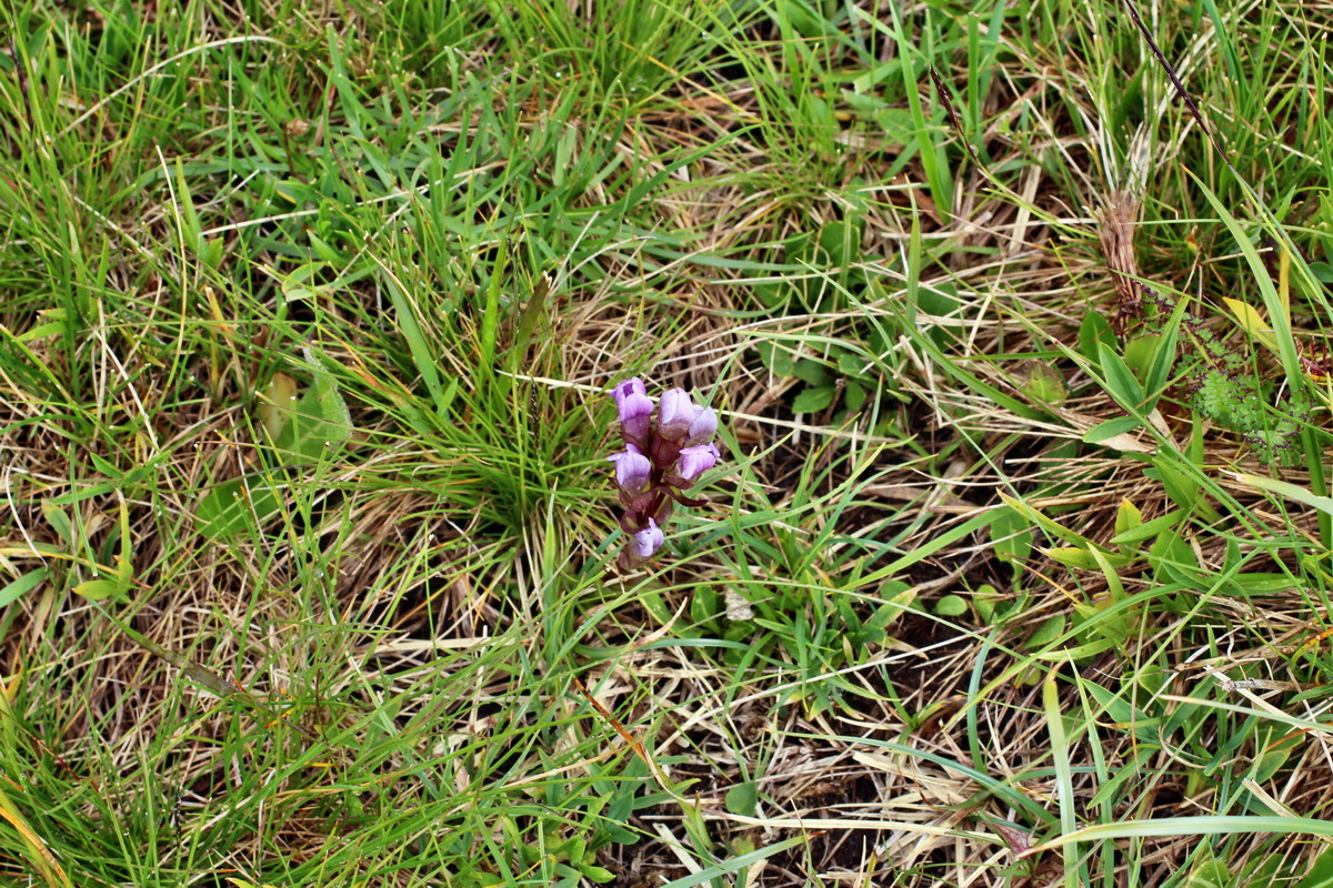 2014_08_01_00007916p_Bildgr��e �ndern