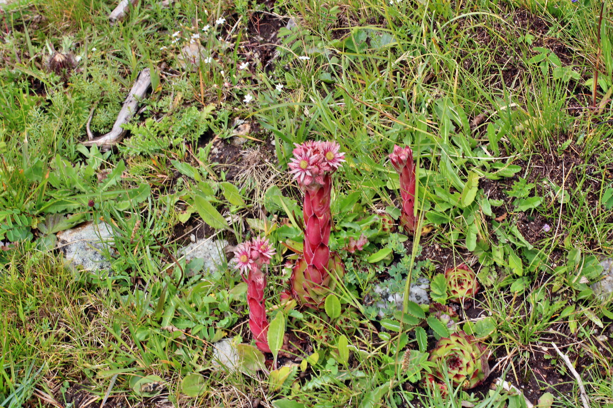 2014_08_01_00007919p_Bildgr��e �ndern