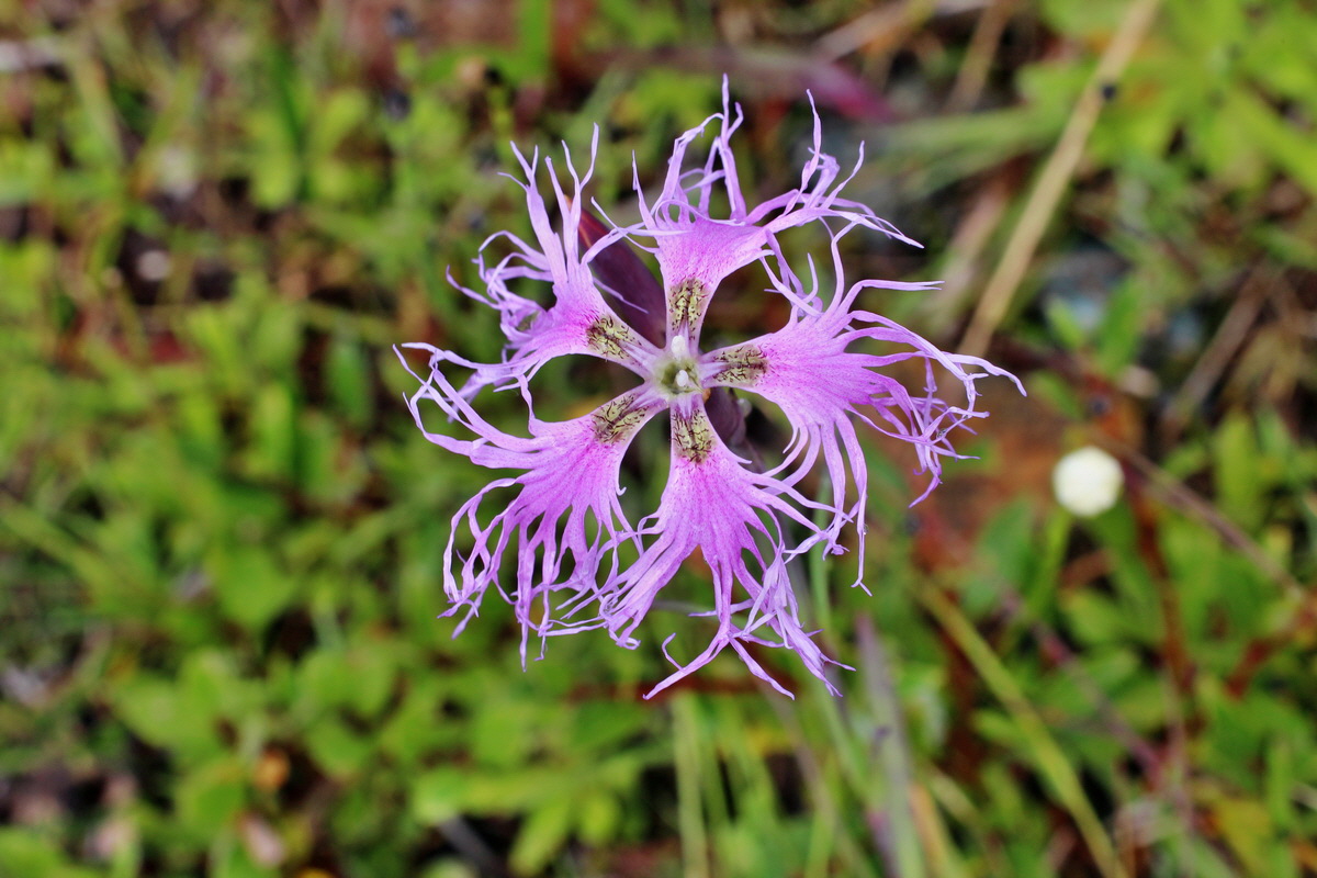 2014_08_01_00007923p_Bildgr��e �ndern