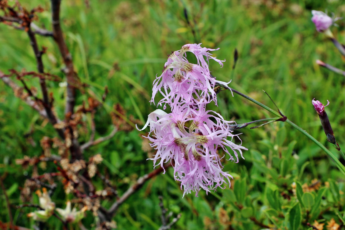 2014_08_01_00007924p_Bildgr��e �ndern