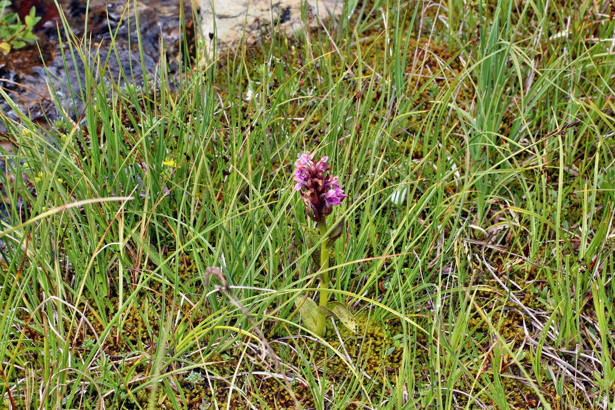 2014_08_01_00007927p_Bildgr��e �ndern