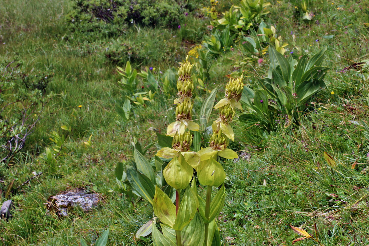 2014_08_01_00007930p_Bildgr��e �ndern