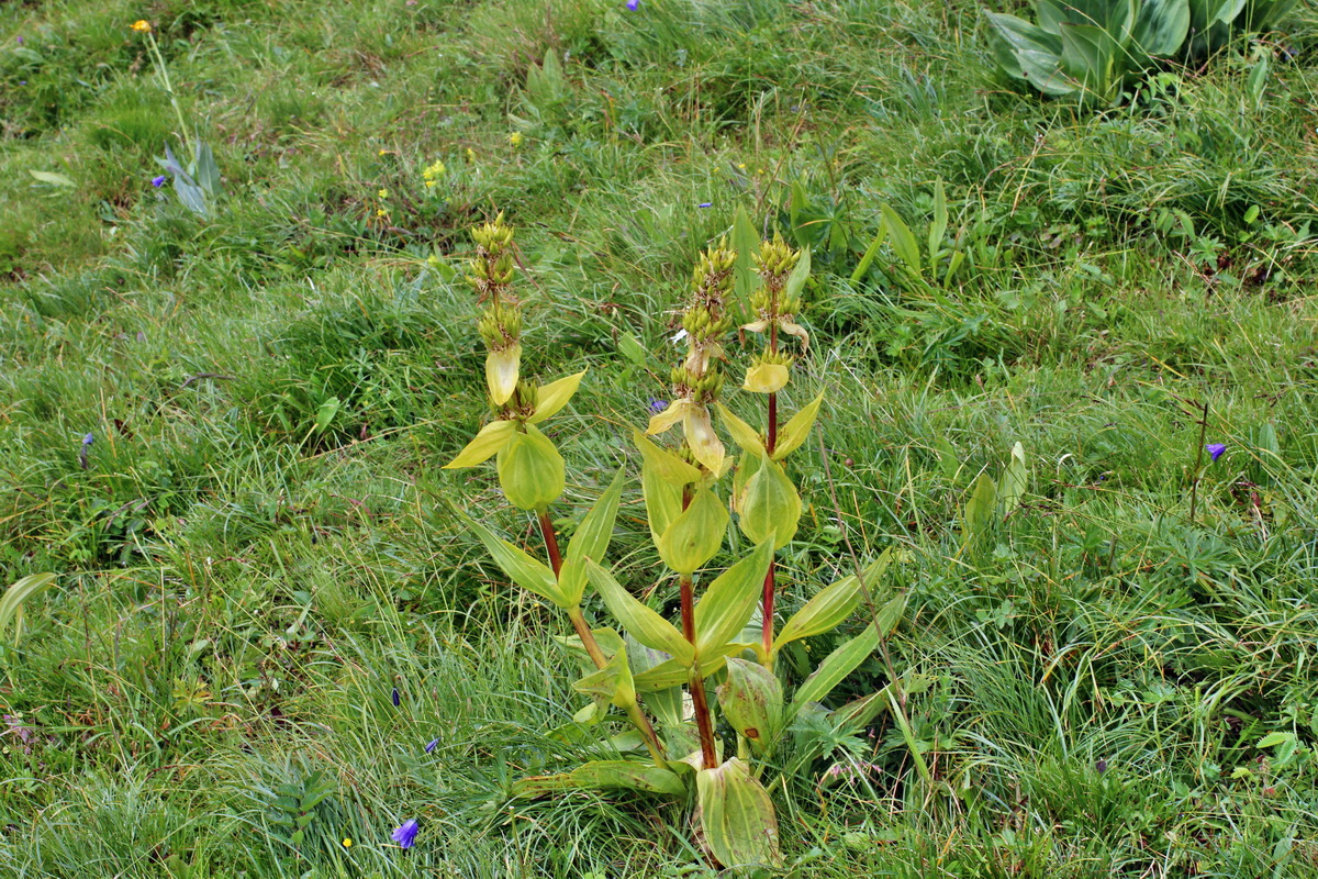 2014_08_01_00007939p_Bildgr��e �ndern