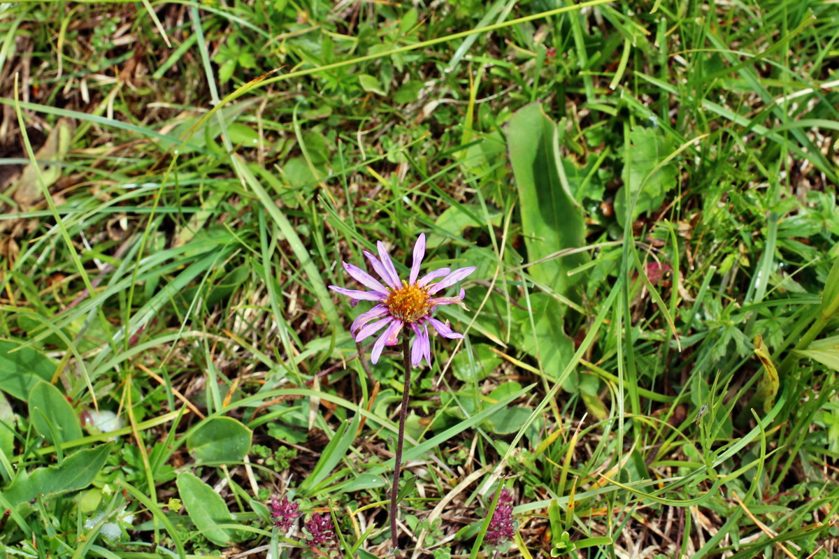 2014_08_01_00007942p_Bildgr��e �ndern