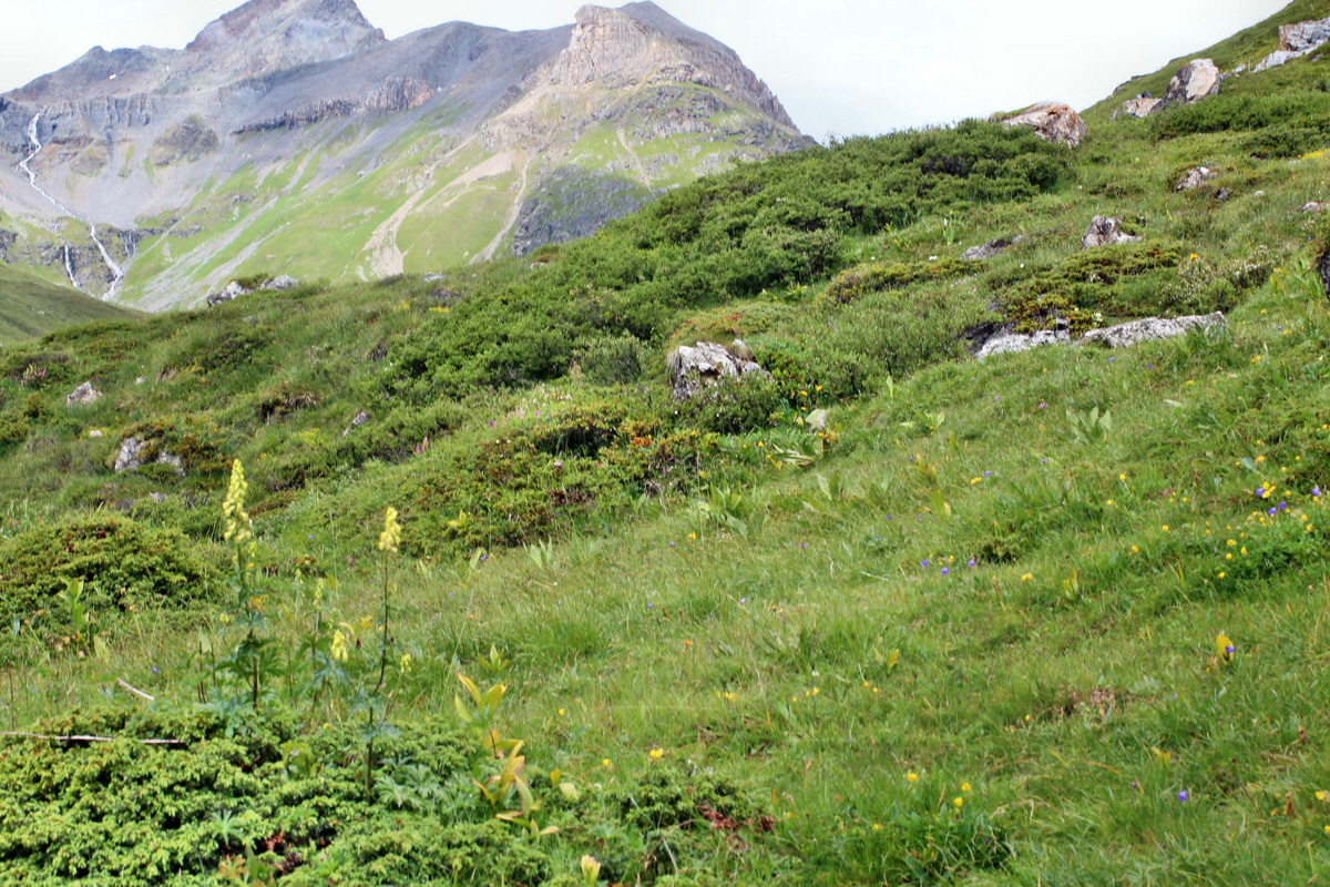 2014_08_01_00007948p_Bildgr��e �ndern