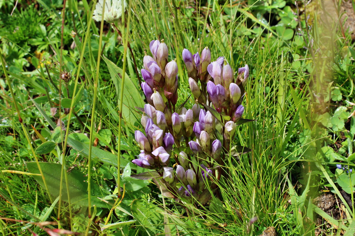 2014_08_01_00007952p_Bildgr��e �ndern