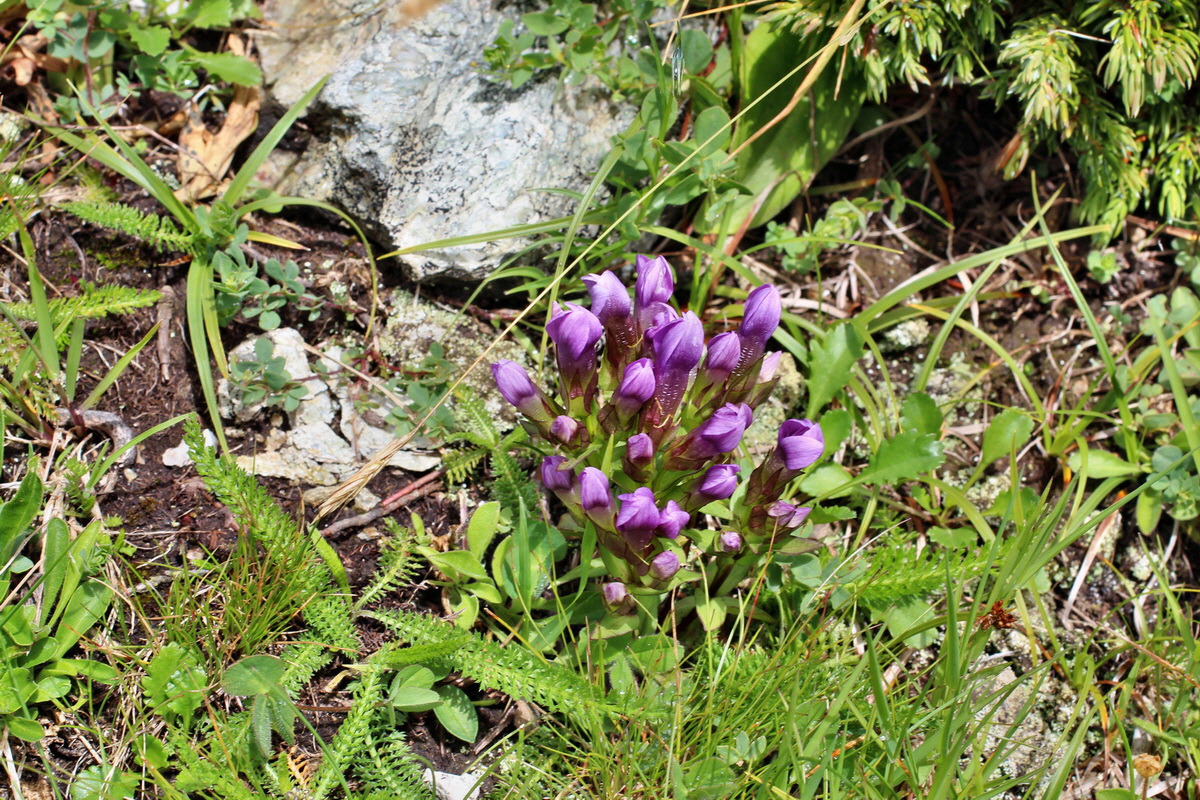 2014_08_01_00007957p_Bildgr��e �ndern