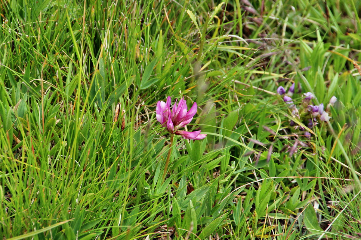 2014_08_01_00007997p_Bildgr��e �ndern