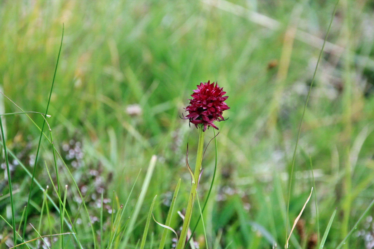 2014_08_01_00008001p_Bildgr��e �ndern