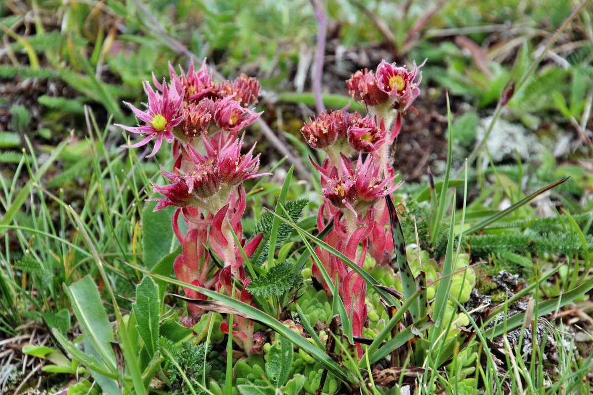 2014_08_01_00008008p_Bildgr��e �ndern