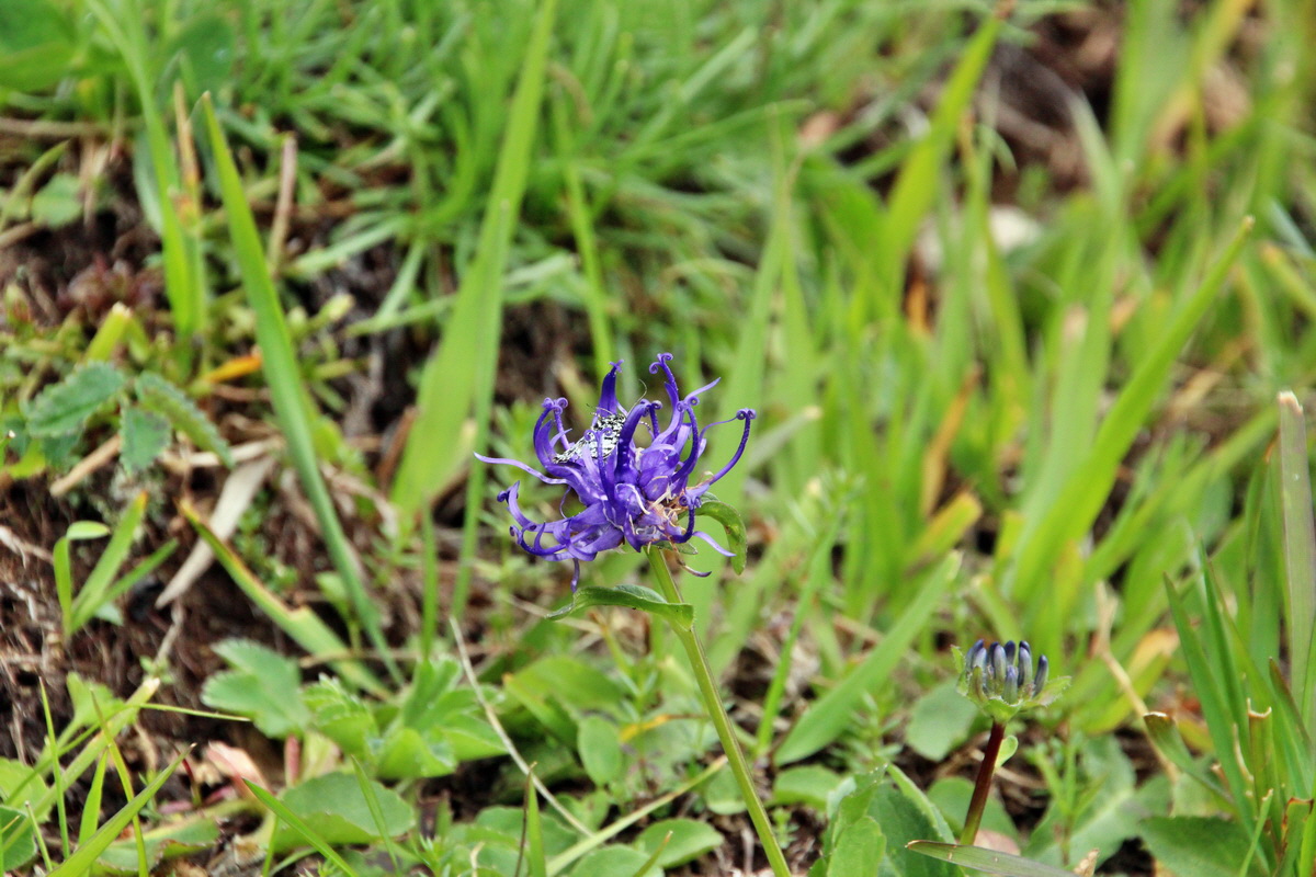 2014_08_01_00008011p_Bildgr��e �ndern