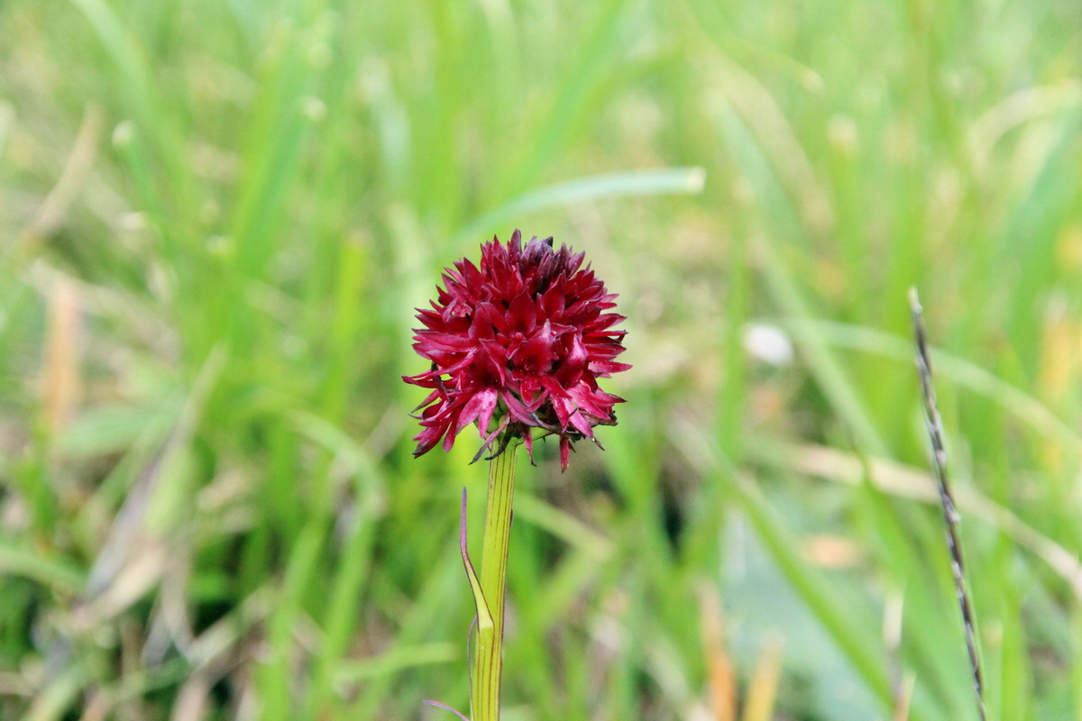 2014_08_01_00008017p_Bildgr��e �ndern