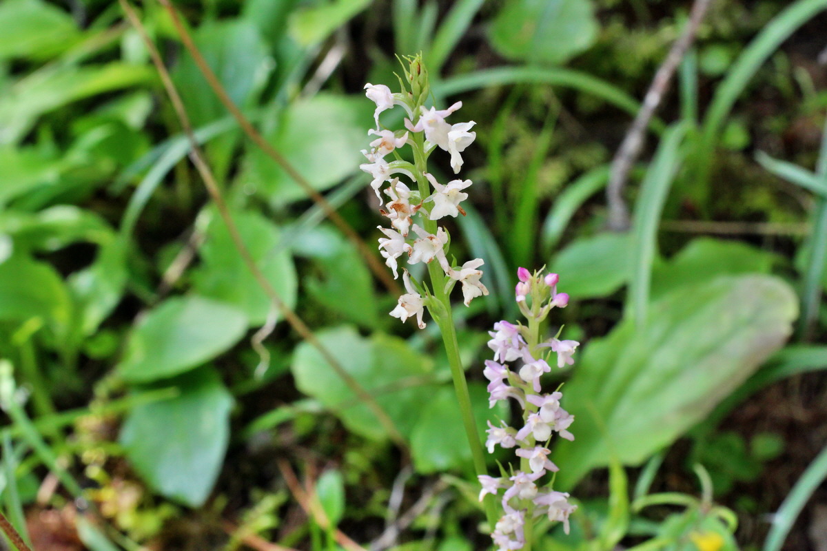 2014_07_20_00002576p_Bildgr��e �ndern