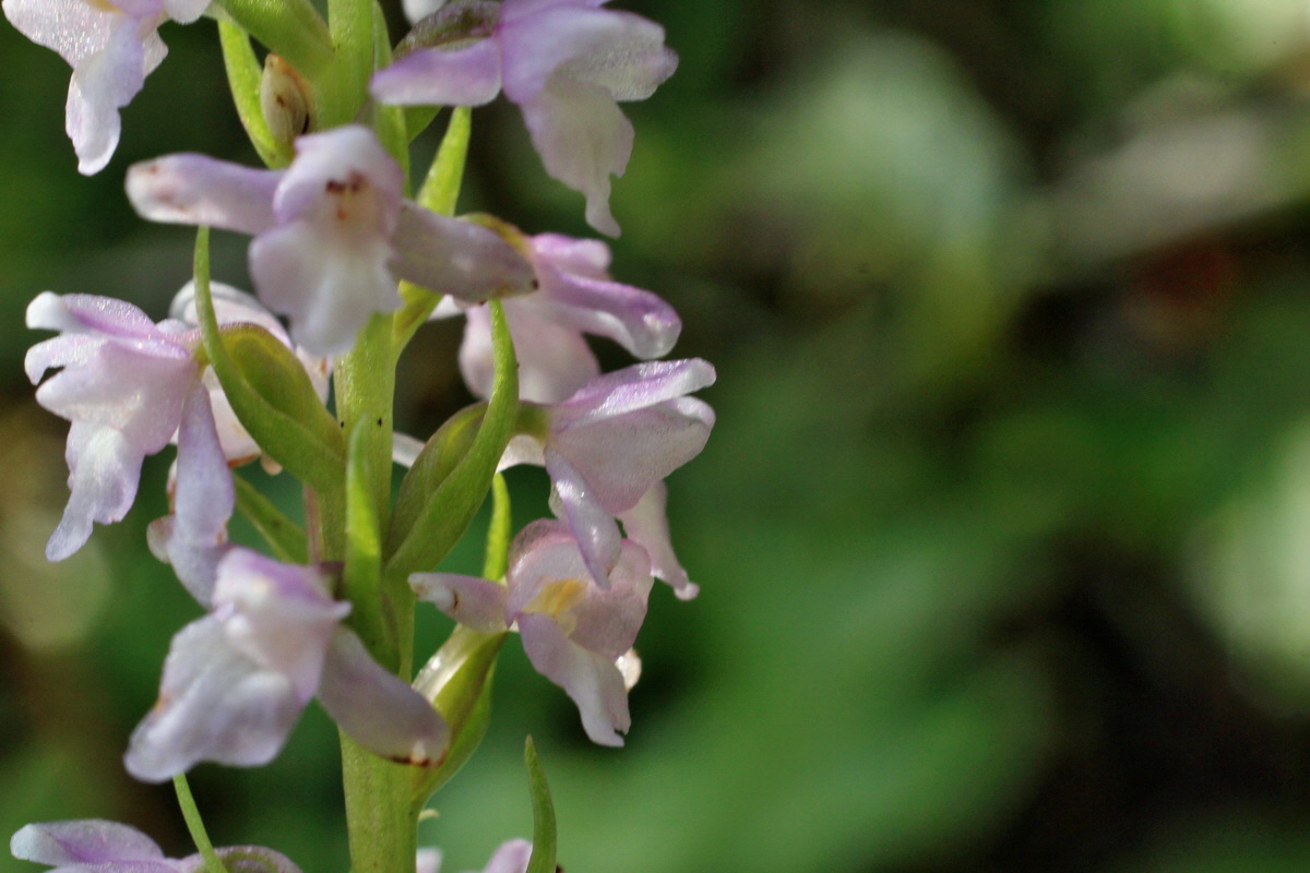 2014_07_20_00002589p_Bildgr��e �ndern