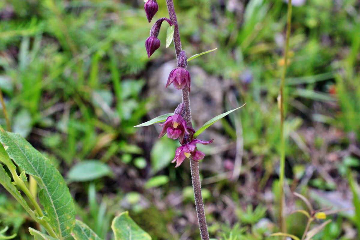 2014_07_20_00002601p_Bildgr��e �ndern