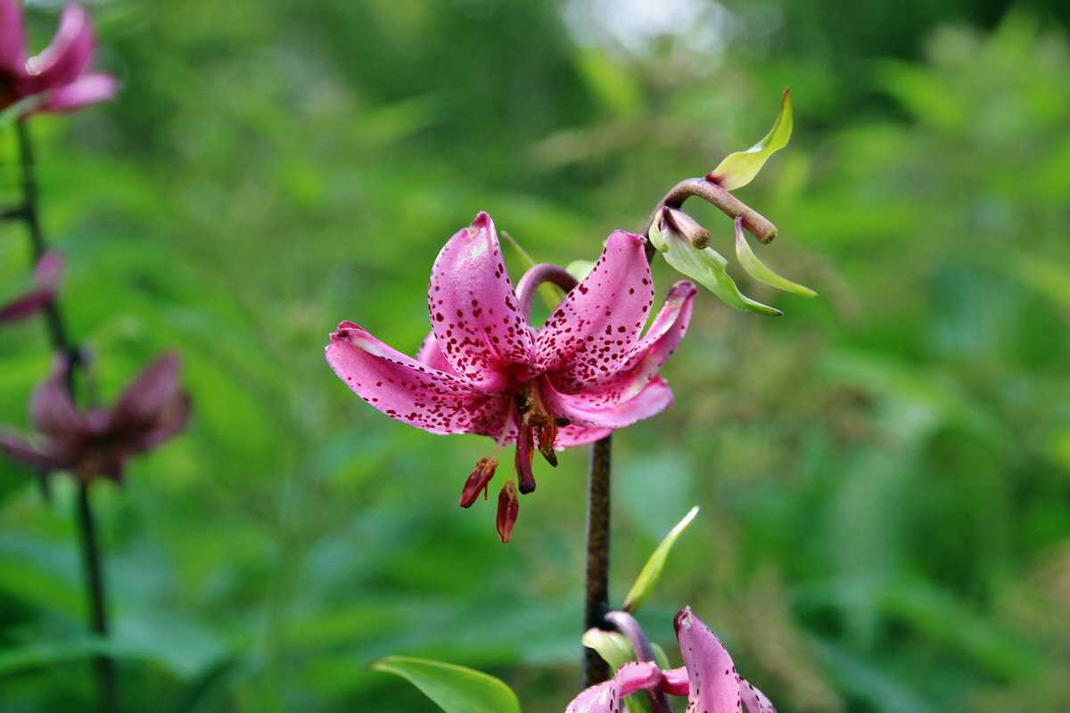 2014_07_20_00002664p_Bildgr��e �ndern