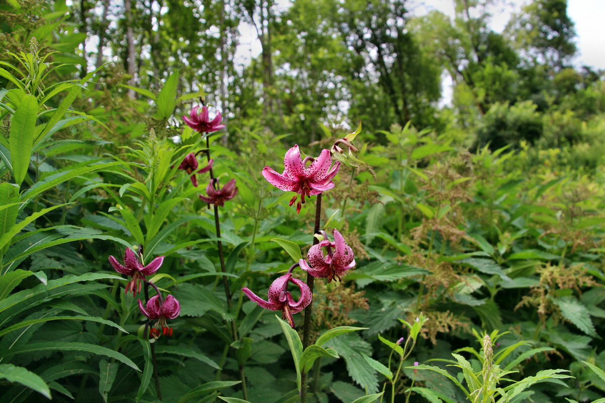 2014_07_20_00002666p_Bildgr��e �ndern