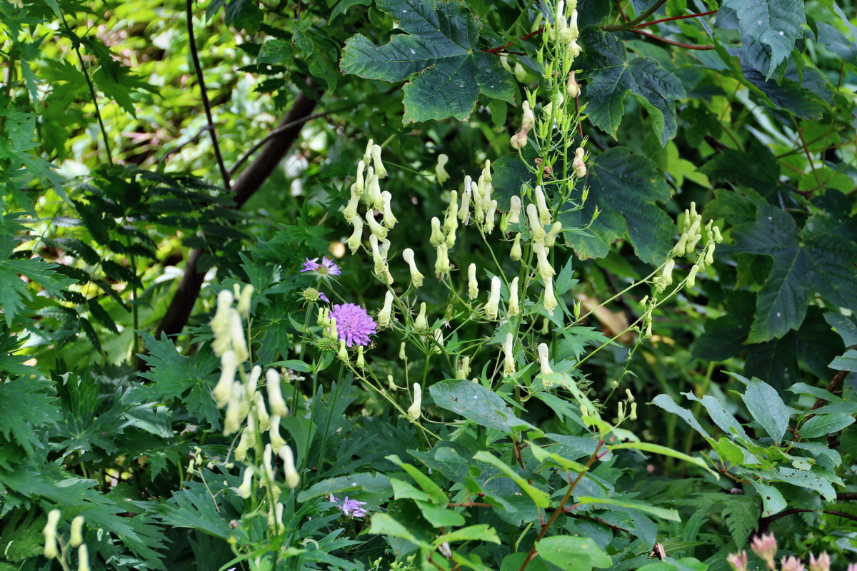 2014_07_20_00002671p_Bildgr��e �ndern