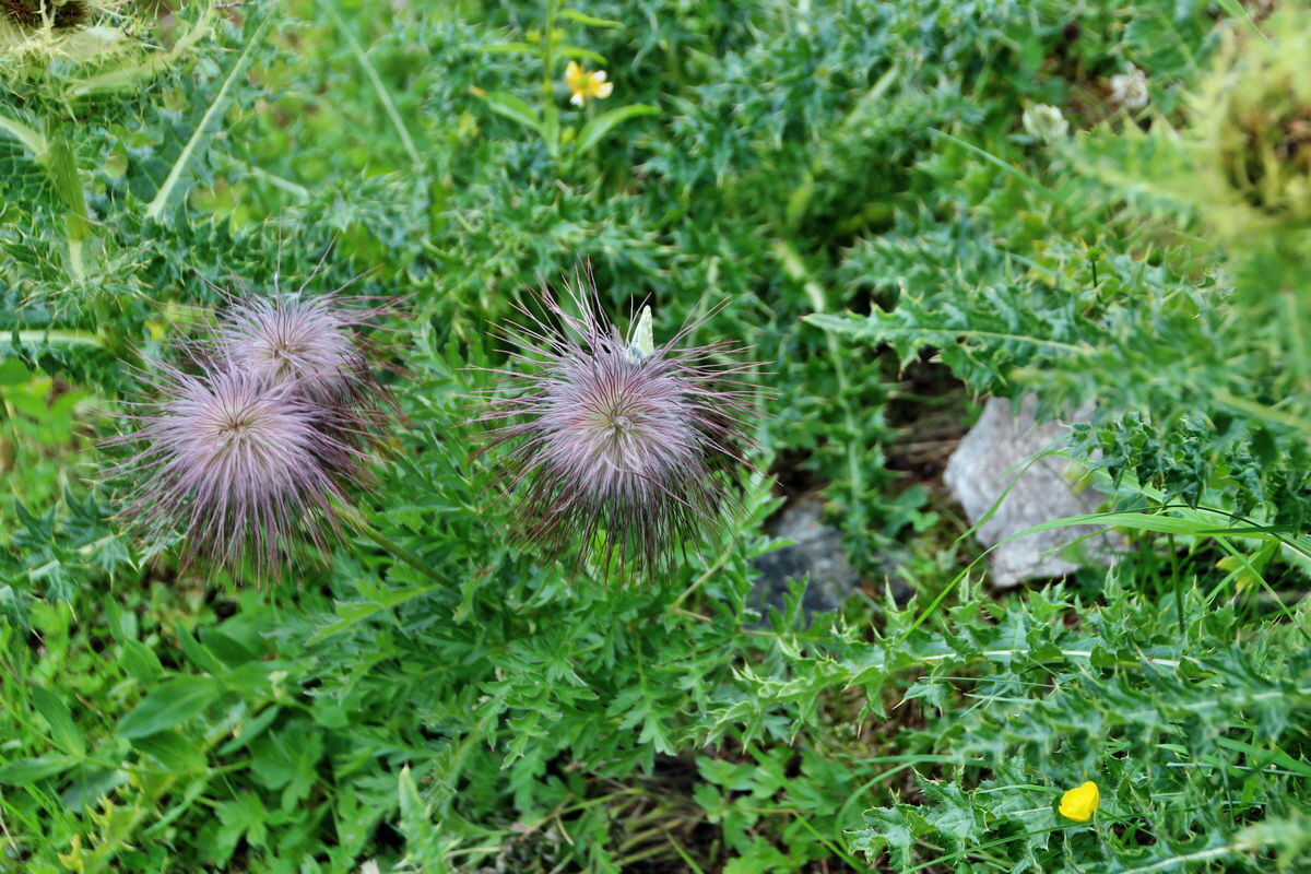 2014_07_20_00002716p_Bildgr��e �ndern