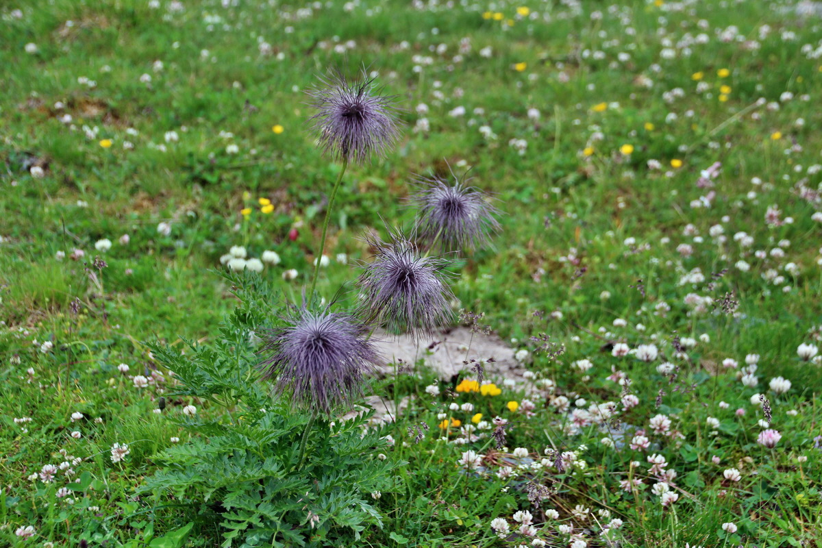 2014_07_20_00002720p_Bildgr��e �ndern