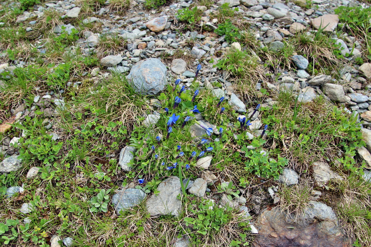 2014_07_20_00002722p_Bildgr��e �ndern