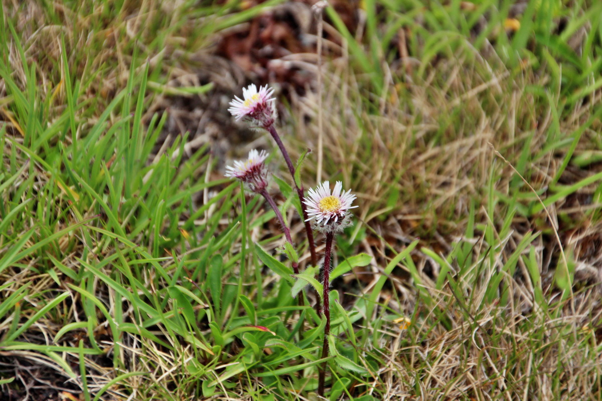 2014_07_20_00002749p_Bildgr��e �ndern