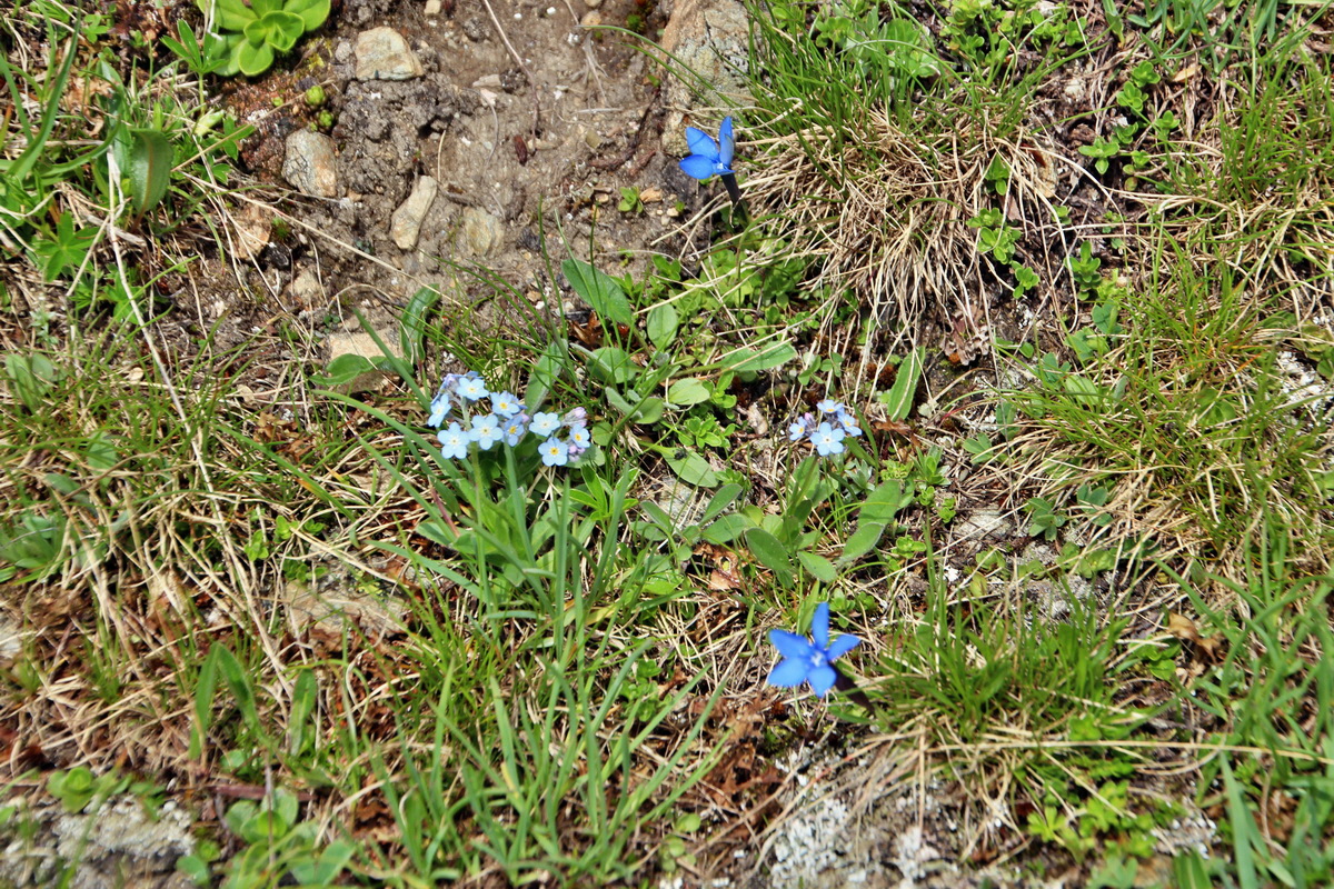 2014_07_20_00002755p_Bildgr��e �ndern