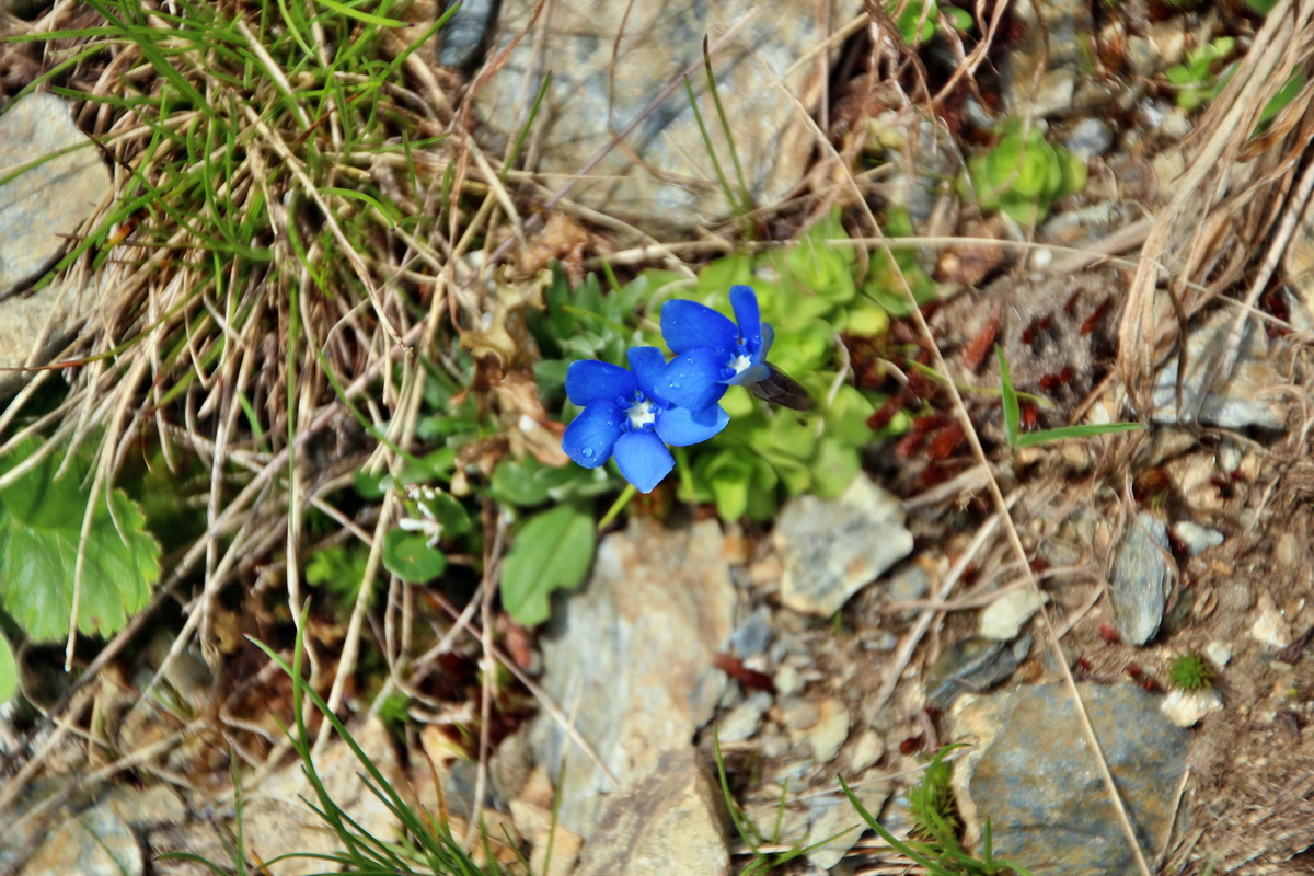 2014_07_20_00002757p_Bildgr��e �ndern