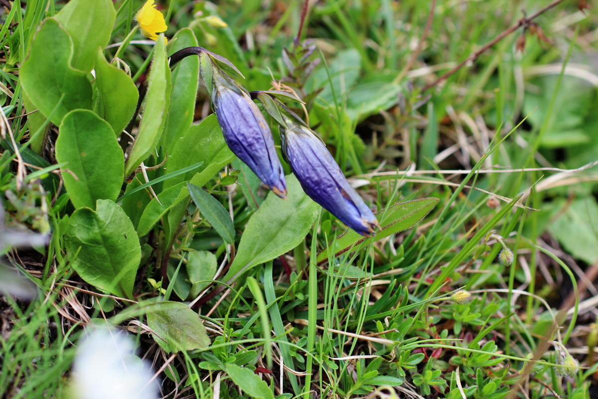 2014_07_20_00002799p_Bildgr��e �ndern