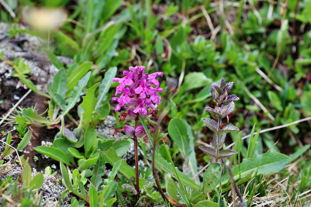 2014_07_20_00002803p_Bildgr��e �ndern