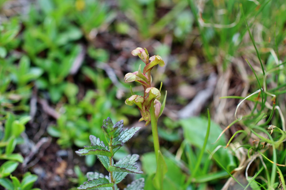 2014_07_20_00002805p_Bildgr��e �ndern