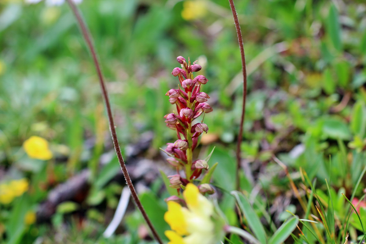 2014_07_20_00002807p_Bildgr��e �ndern