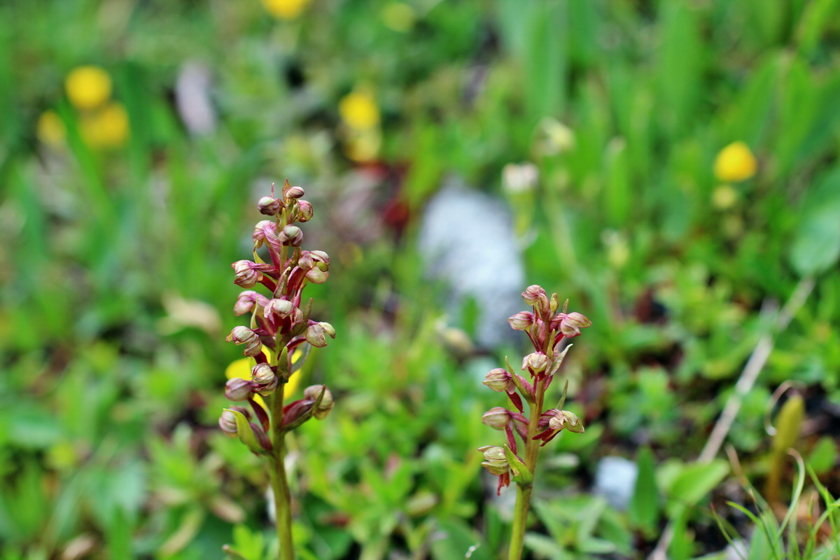 2014_07_20_00002811p_Bildgr��e �ndern