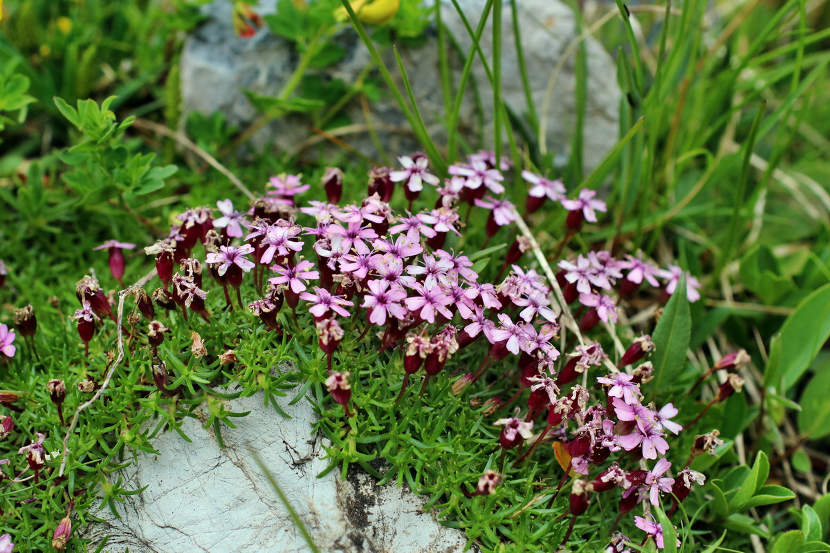 2014_07_20_00002813p_Bildgr��e �ndern