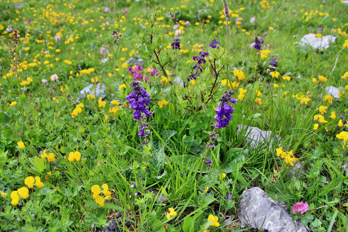 2014_07_20_00002855p_Bildgr��e �ndern