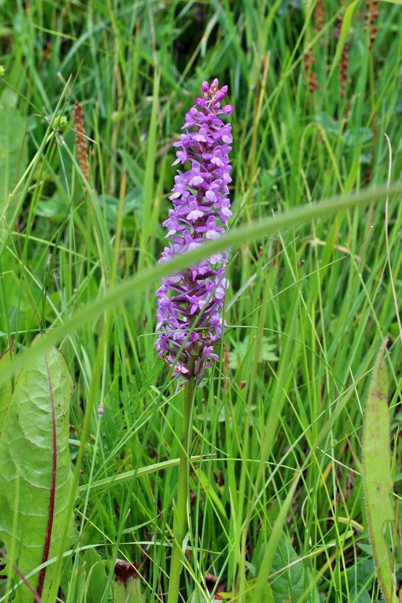 2014_07_20_00002885p_Bildgr��e �ndern