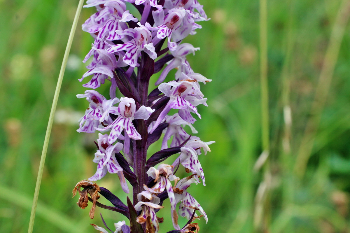 2014_07_20_00002893p_Bildgr��e �ndern