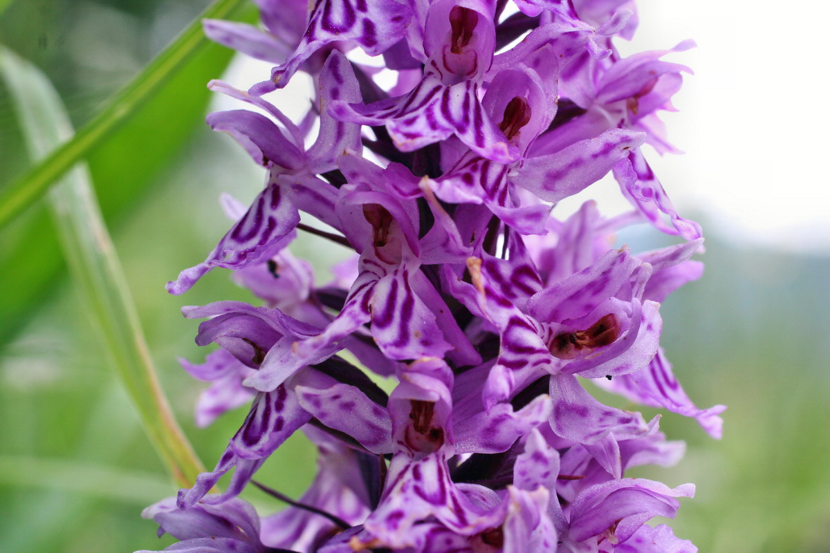 2014_07_20_00002914p_Bildgr��e �ndern