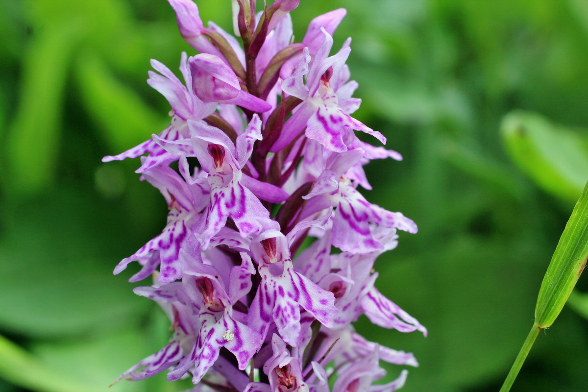 2014_07_20_00002916p_Bildgr��e �ndern