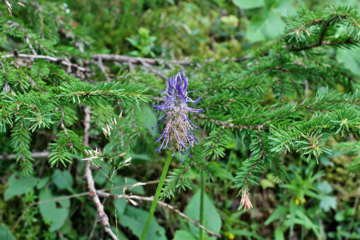 2014_07_20_00002923p_Bildgr��e �ndern