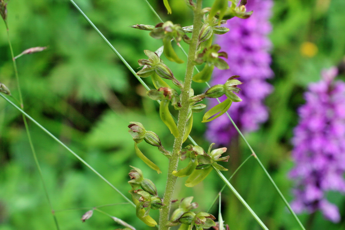 2014_07_20_00002972p_Bildgr��e �ndern