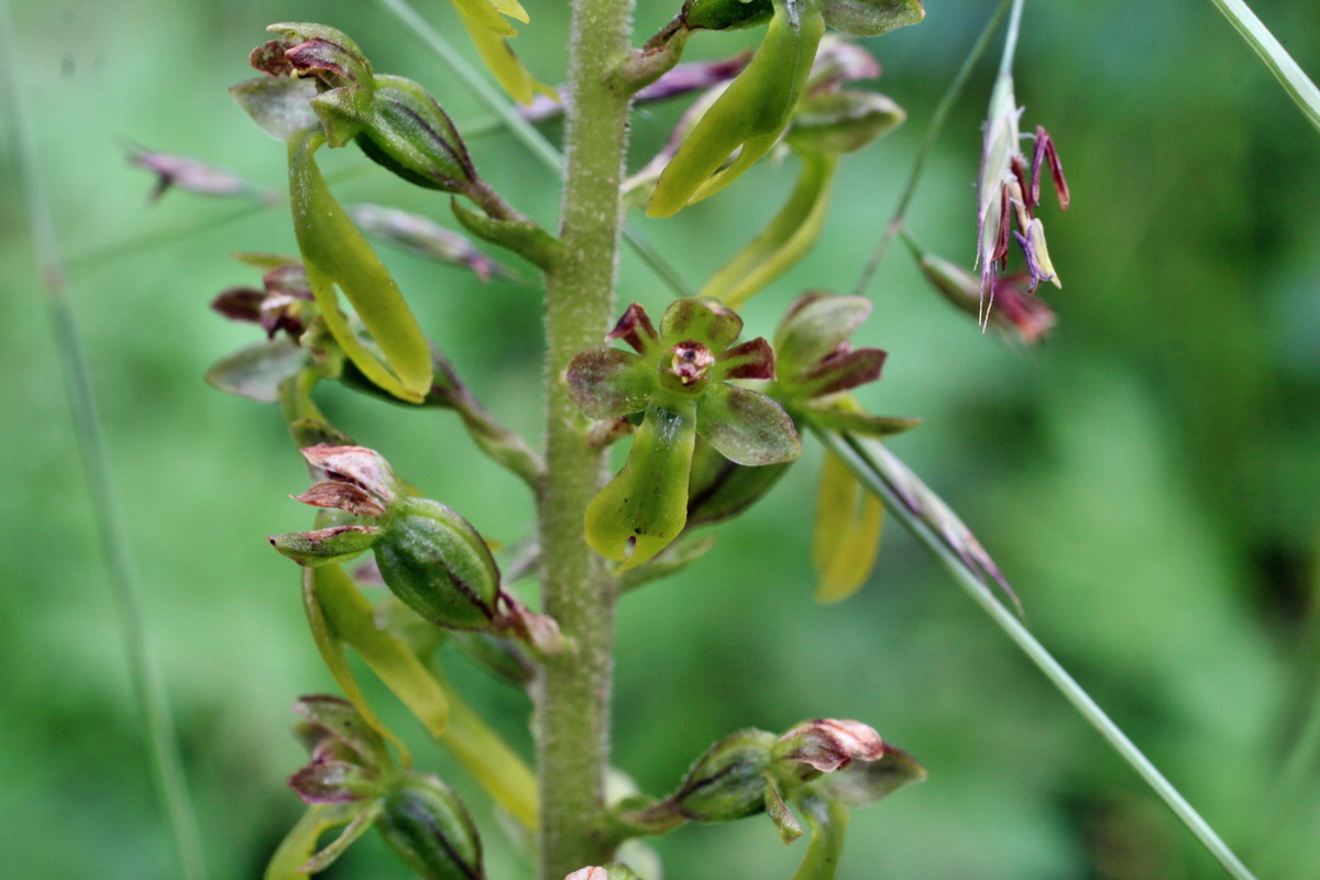 2014_07_20_00002974p_Bildgr��e �ndern